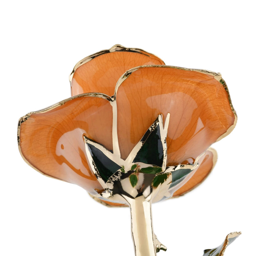 Timeless Rose (Pear)